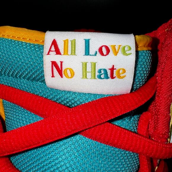 Nike SB Dunk High Pro froSkate All Love main image 4